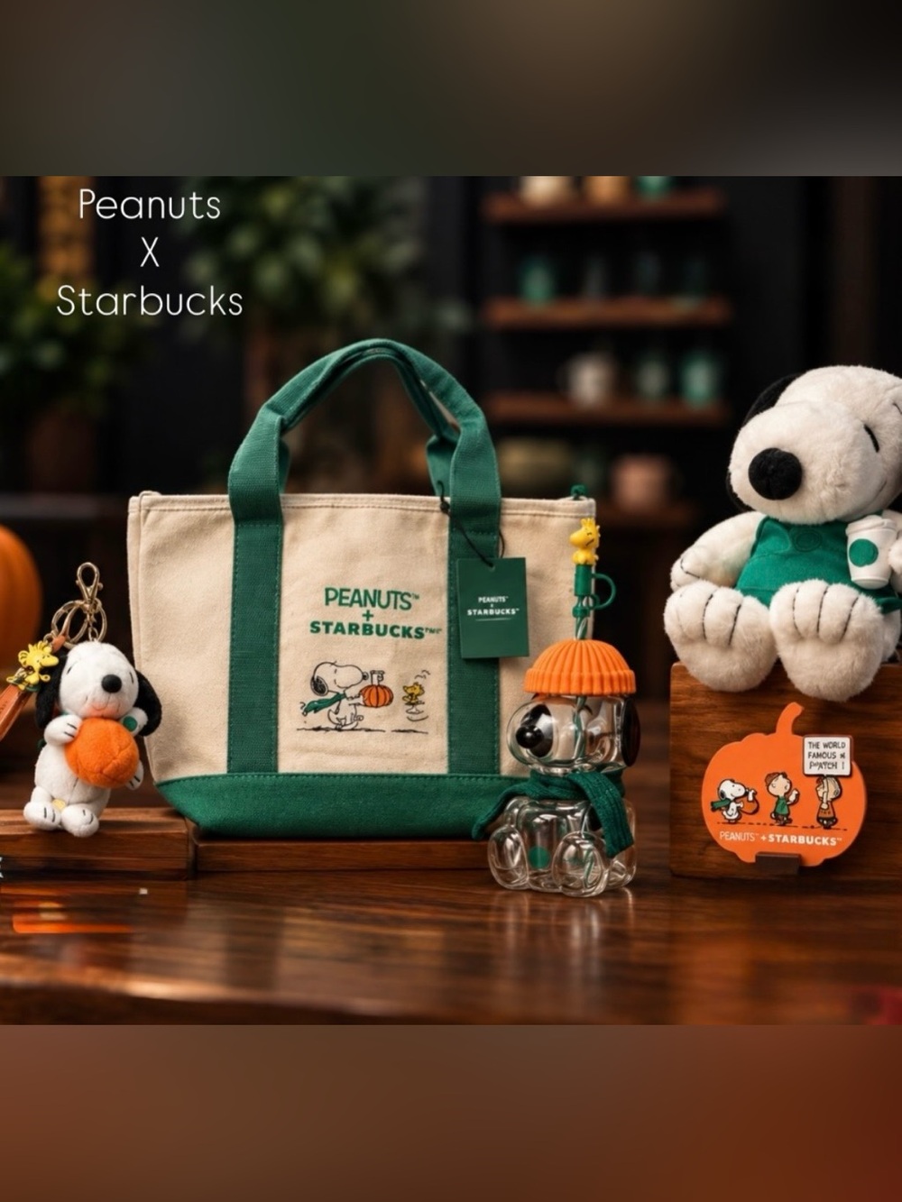 Starbucks x Peanuts Snoopy Full Set: Tumbler, Plush, Tote Bag, Bag Charm Pin Set